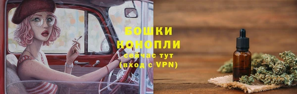 трава Бородино