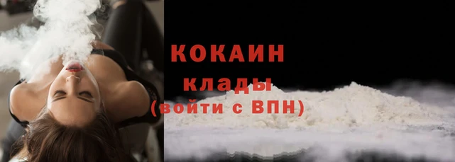 трава Бородино