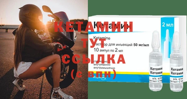 трава Бородино