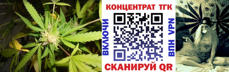 Купить закладки  Нижняя Тура  Дистиллят ТГК Wax 